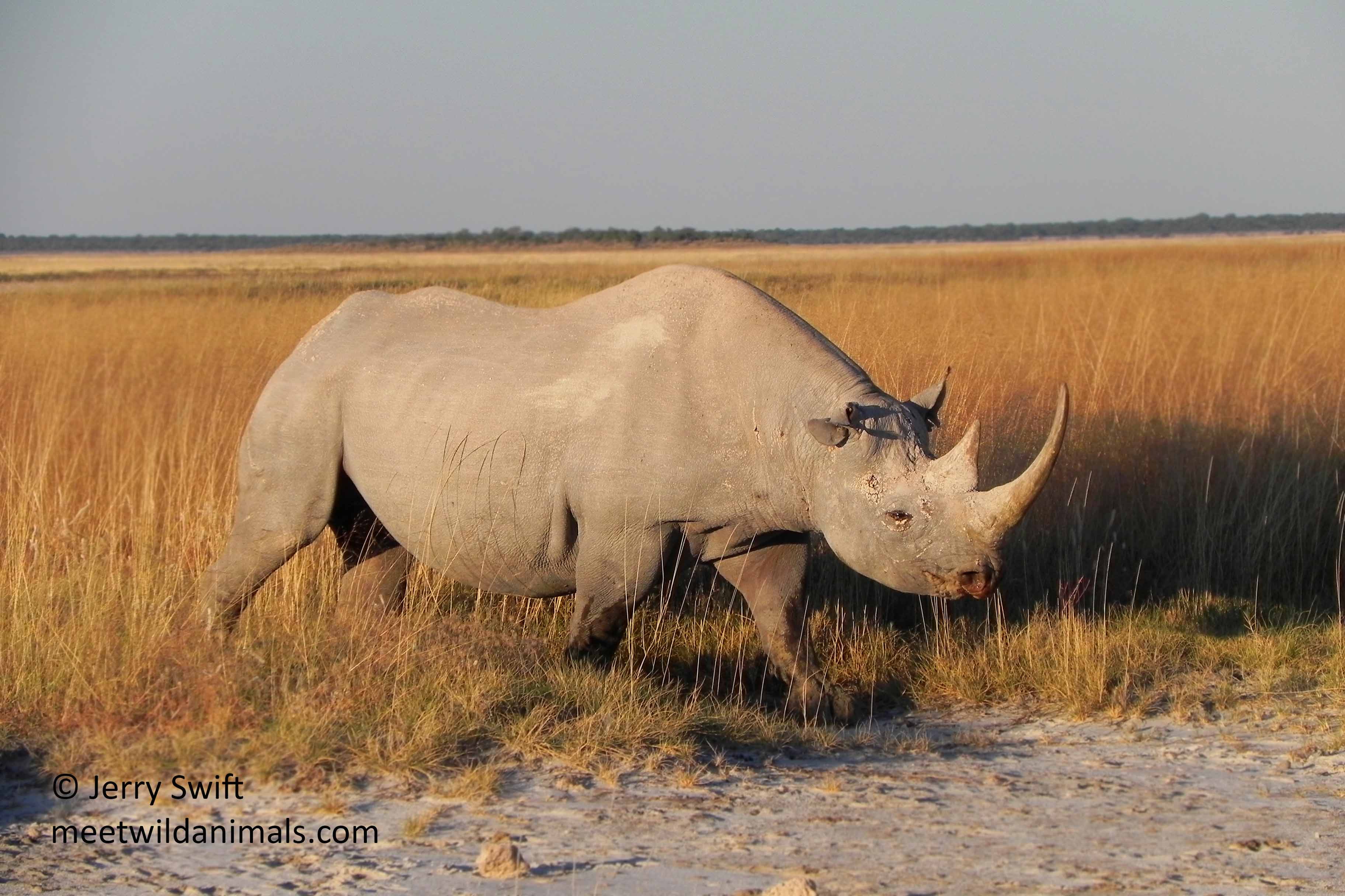 namibia