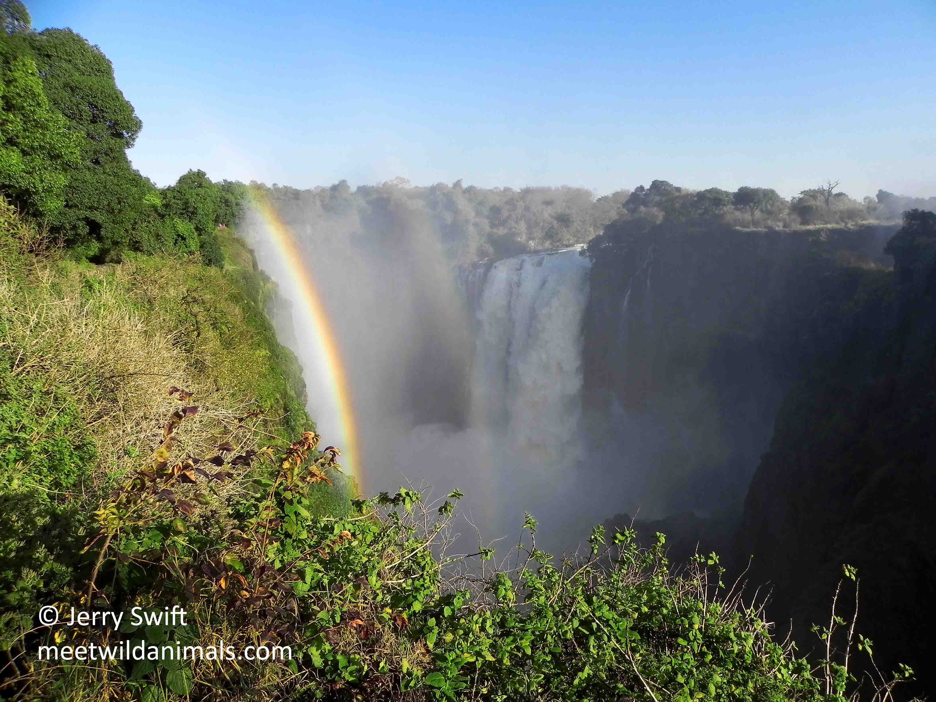 zimbabwe